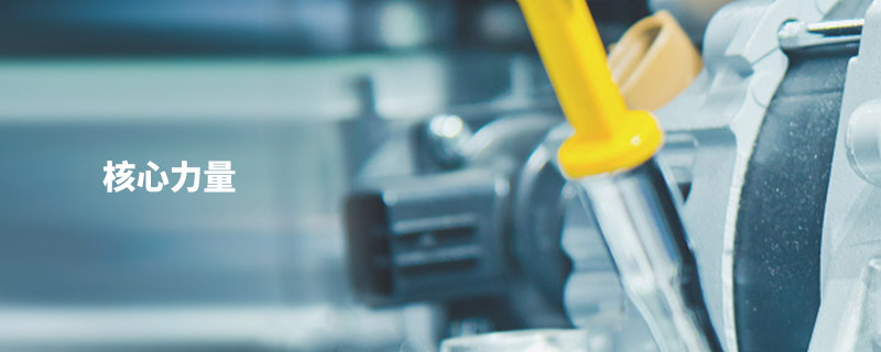核(he)心力量